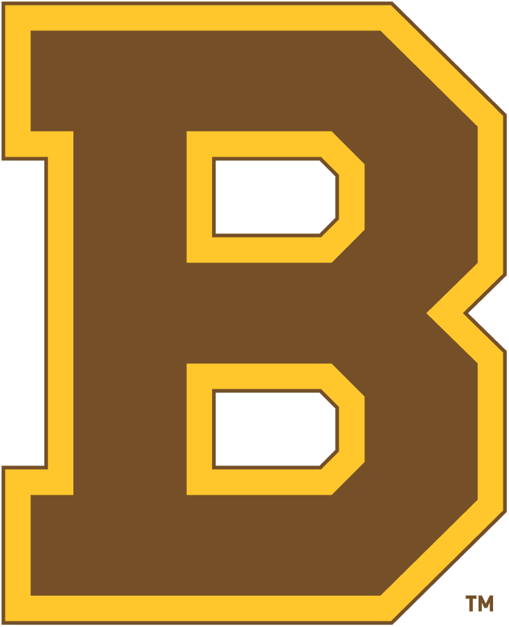Boston Bruins 1932-1934 Primary Logo iron on transfers for fabric